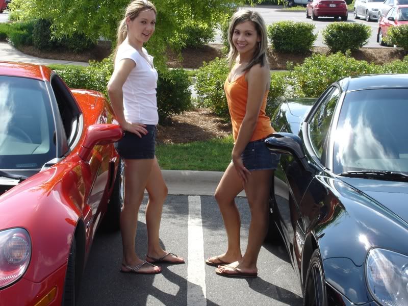 Corvette Babes Page 9 Forums